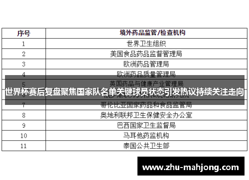 世界杯赛后复盘聚焦国家队名单关键球员状态引发热议持续关注走向